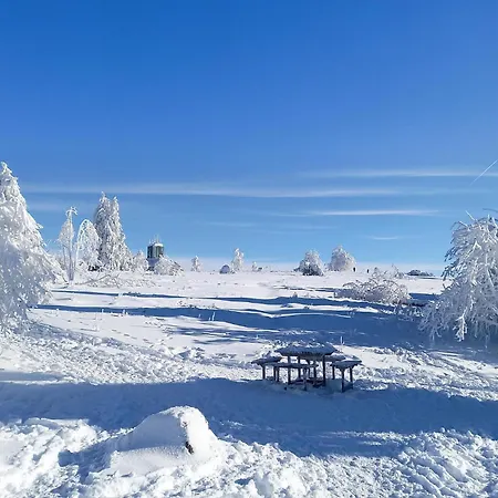 Apartment 1 Bedroom Awesome In Winterberg