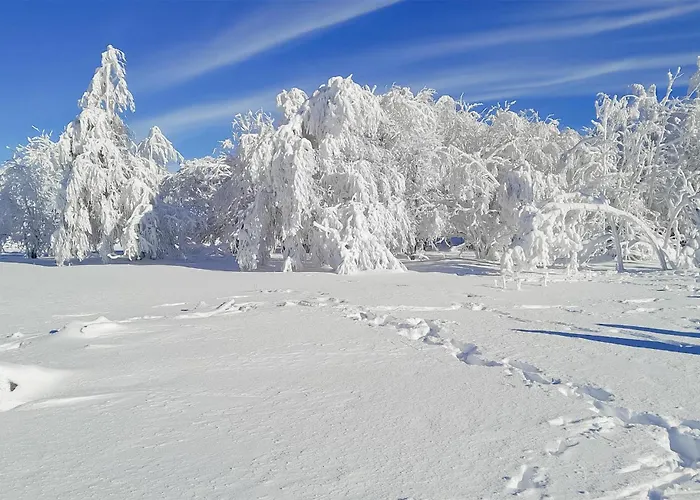 Stunning In Apartman *